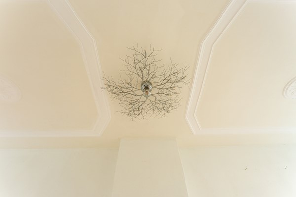 Medium property photo - Hendrik van Deventerstraat 106, 2563 XW Den Haag